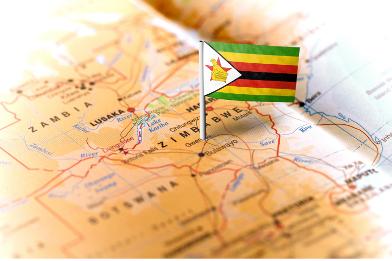 Read more about the article Indigenous Languages in Zimbabwe Face Uneven Survival