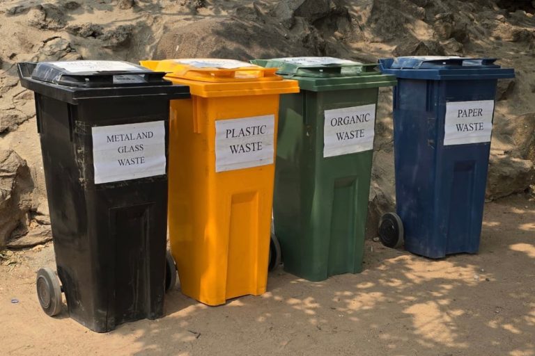 Read more about the article Residents Lead the Way in Creating a Cleaner, Greener Chitungwiza